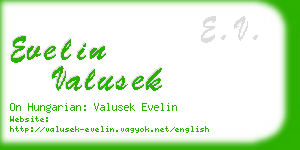 evelin valusek business card